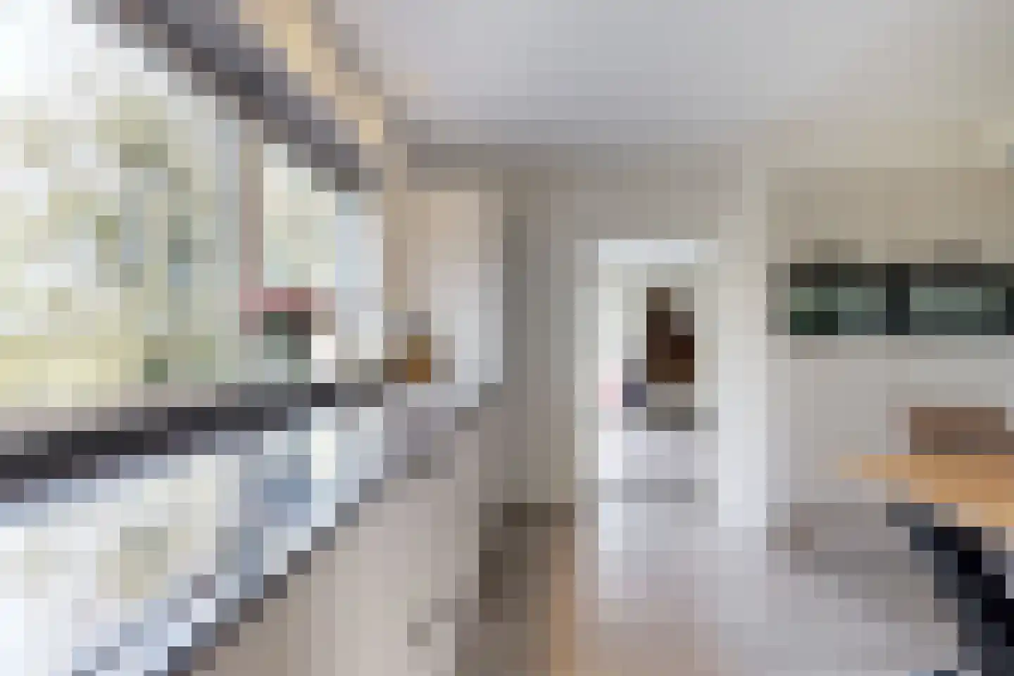Oude Kerkstraat 79 Standdaarbuiten thumbnail 28