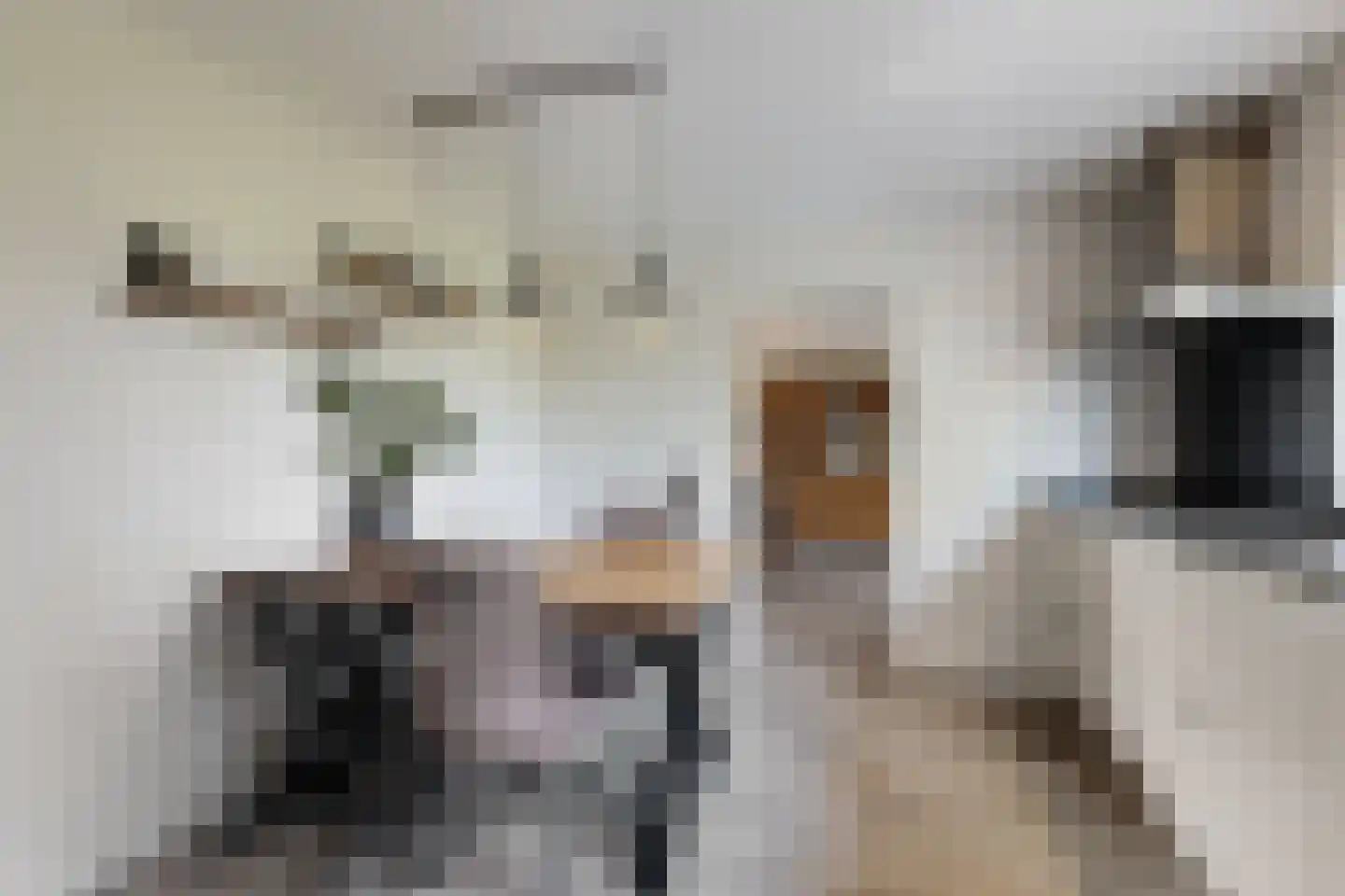 Oude Kerkstraat 79 Standdaarbuiten thumbnail 29
