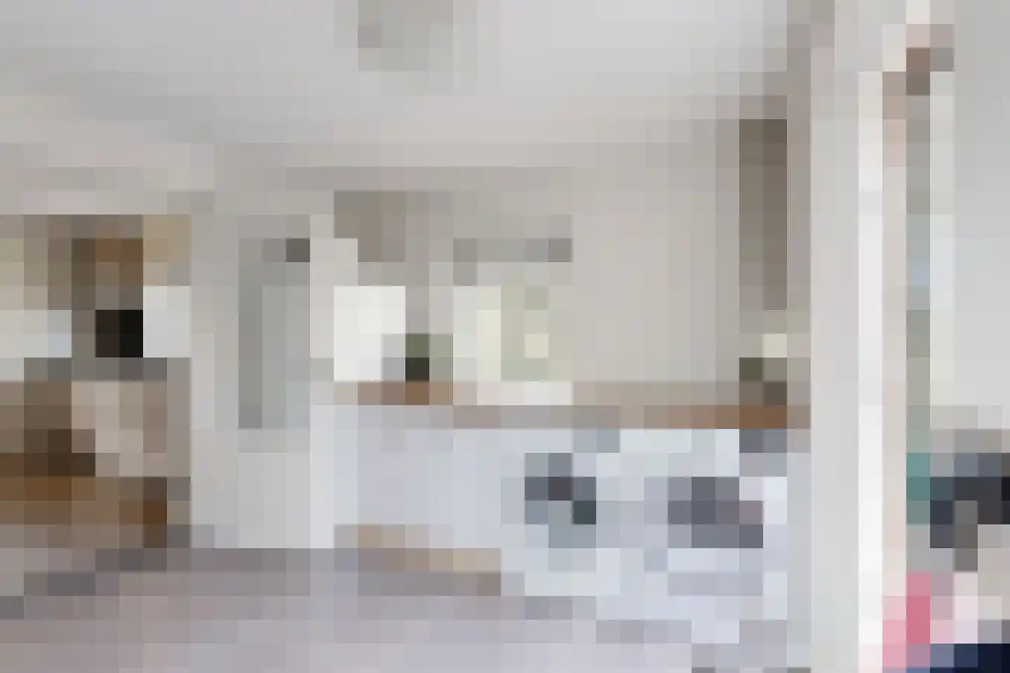 Oude Kerkstraat 79 Standdaarbuiten thumbnail 34