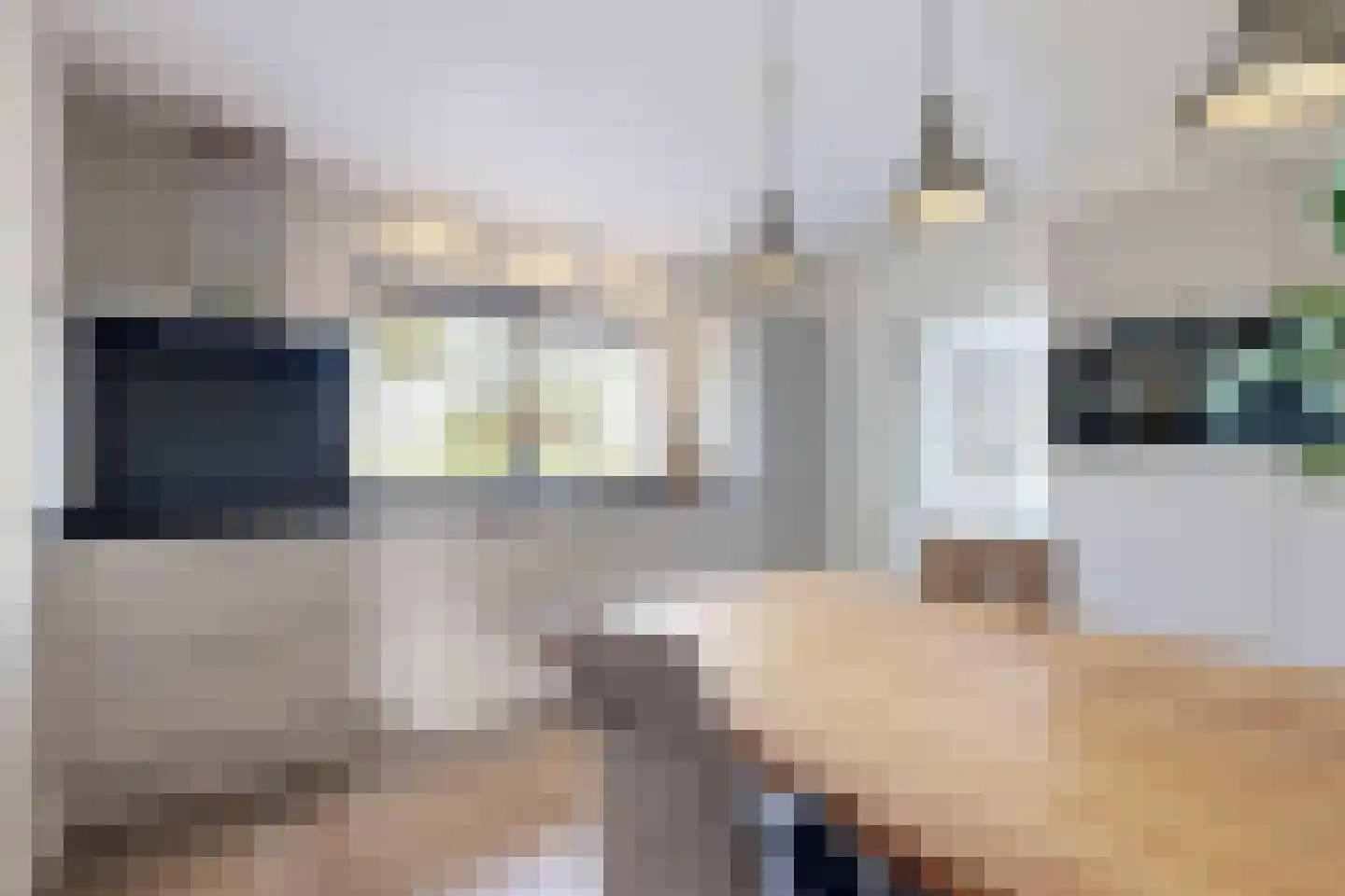 Oude Kerkstraat 79 Standdaarbuiten thumbnail 4