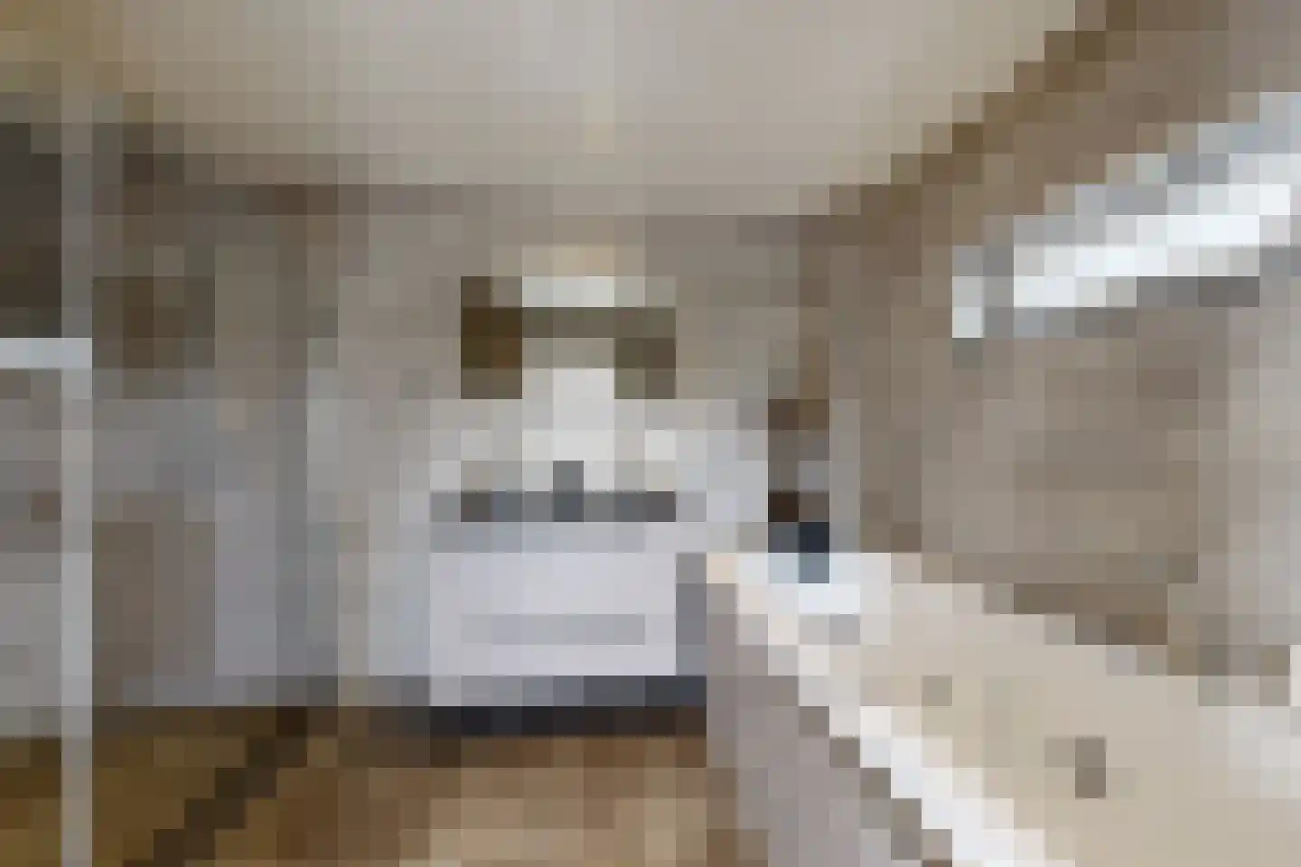 Oude Kerkstraat 79 Standdaarbuiten thumbnail 47