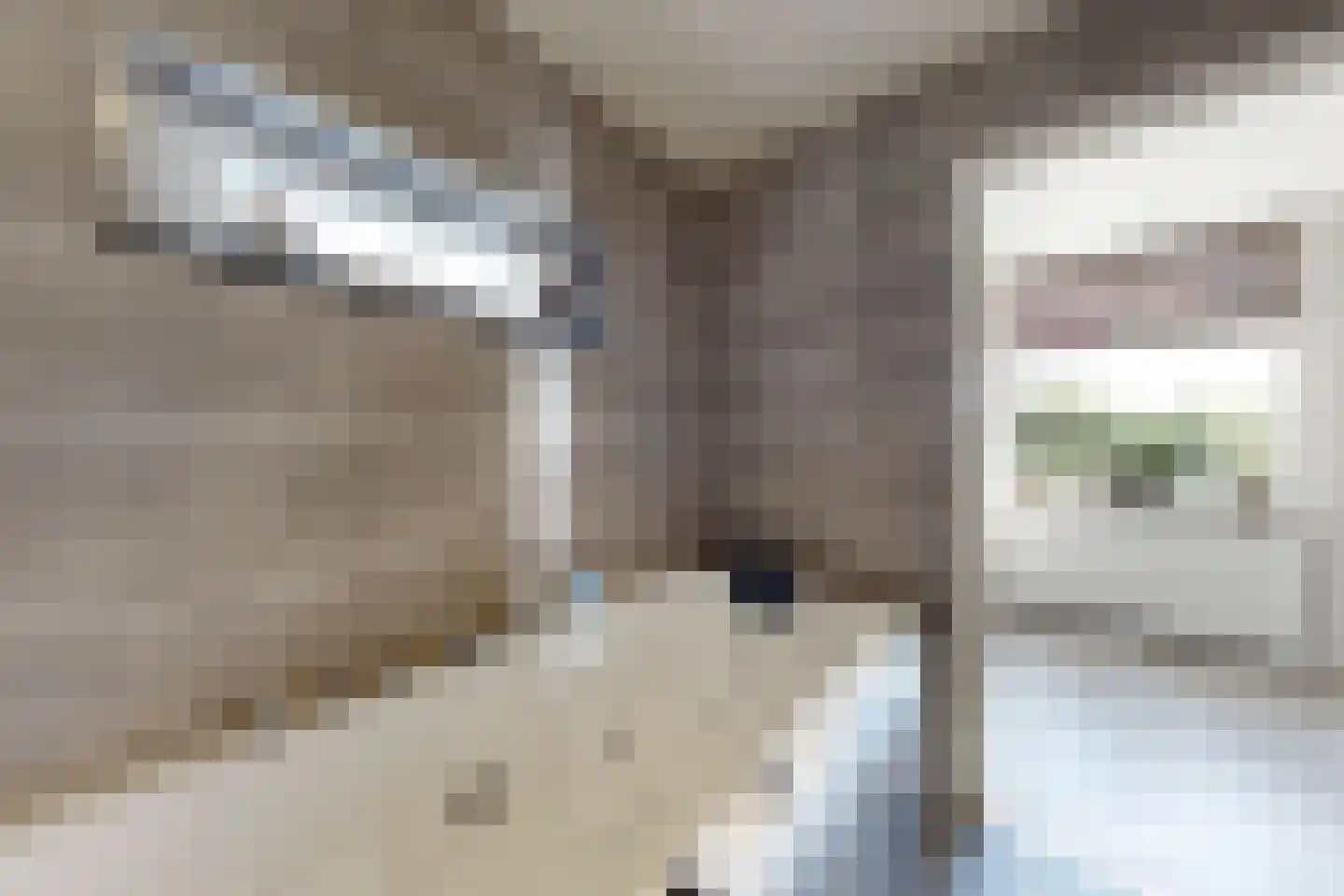 Oude Kerkstraat 79 Standdaarbuiten thumbnail 50