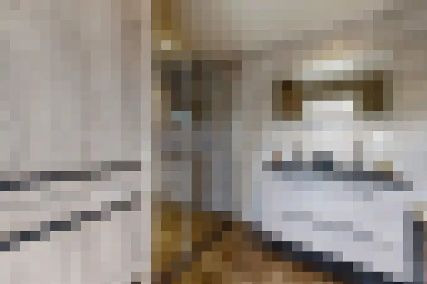 Oude Kerkstraat 79 Standdaarbuiten thumbnail 51