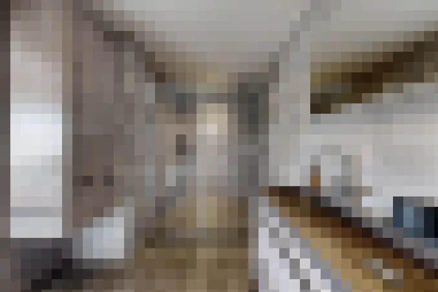 Oude Kerkstraat 79 Standdaarbuiten thumbnail 53