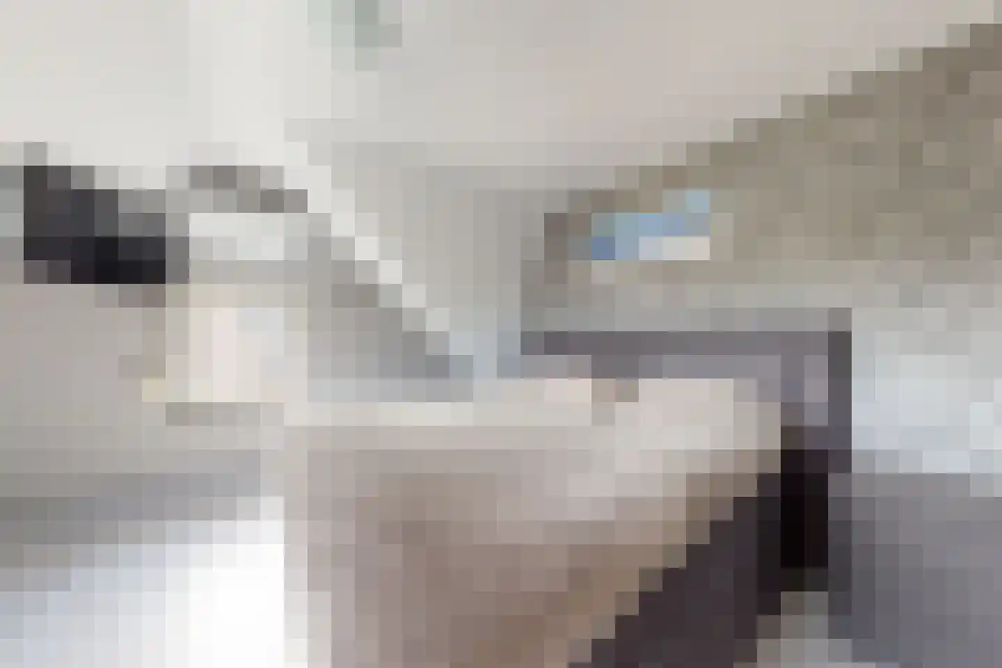 Oude Kerkstraat 79 Standdaarbuiten thumbnail 58