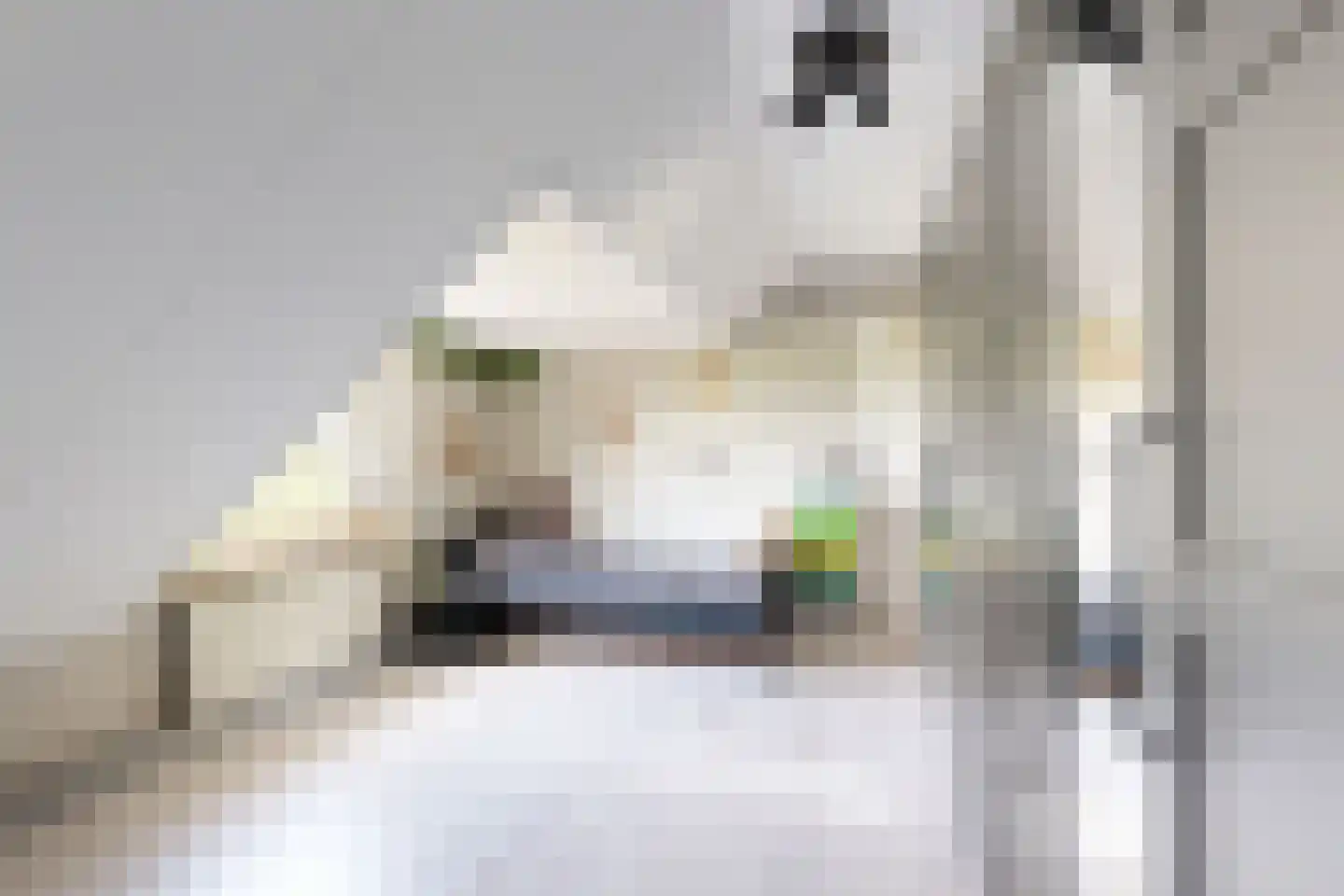 Oude Kerkstraat 79 Standdaarbuiten thumbnail 64