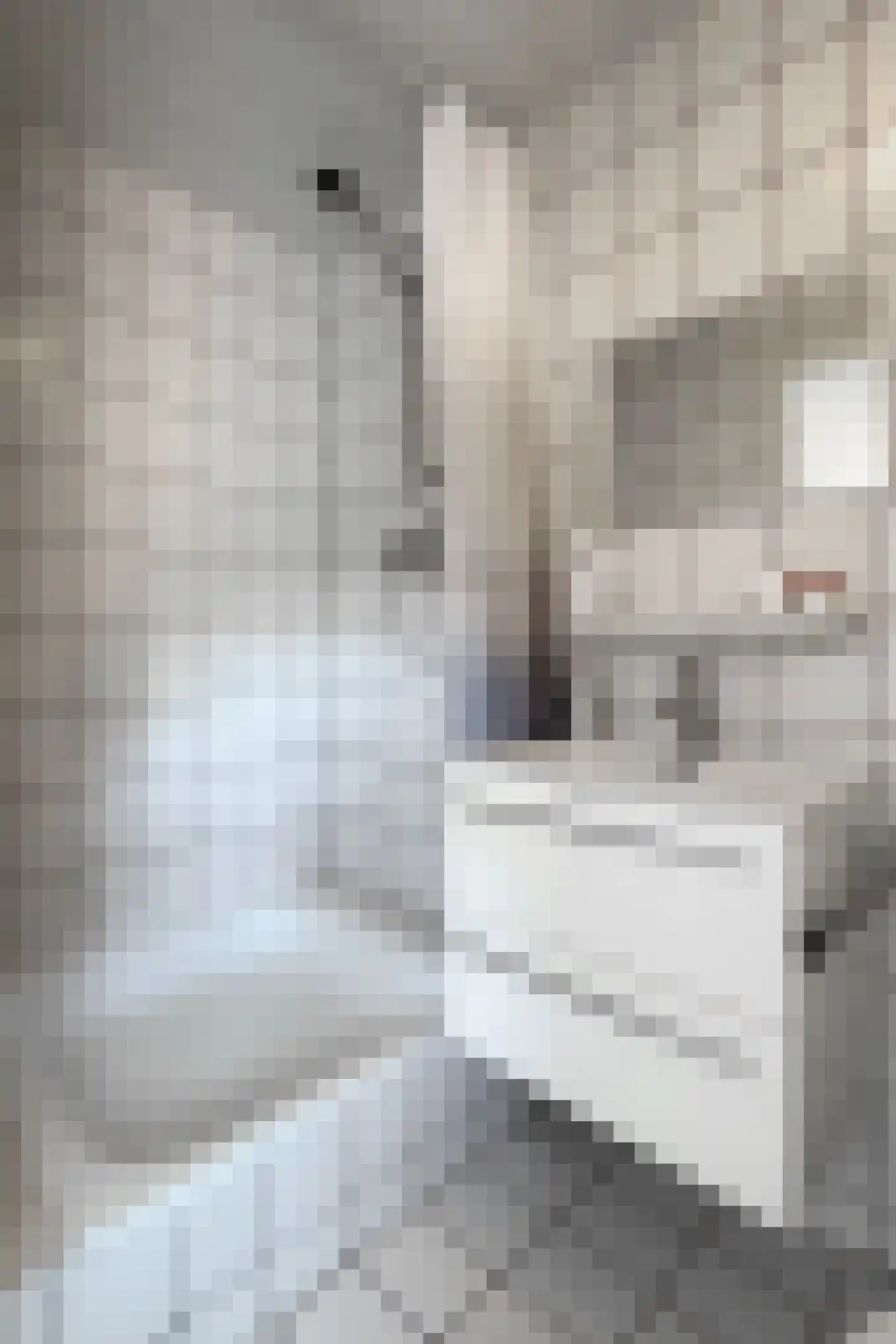 Oude Kerkstraat 79 Standdaarbuiten thumbnail 73