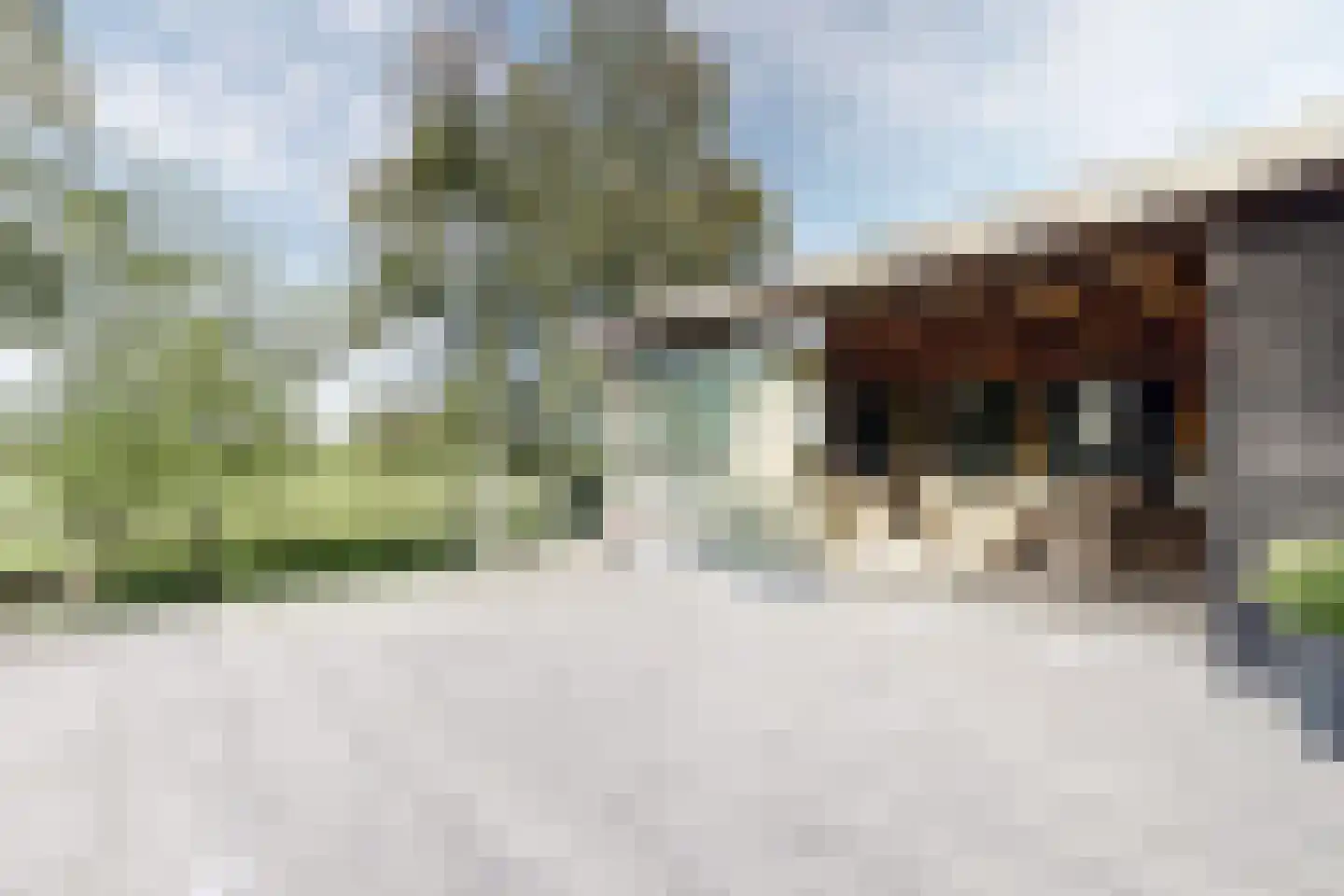 Oude Kerkstraat 79 Standdaarbuiten thumbnail 79