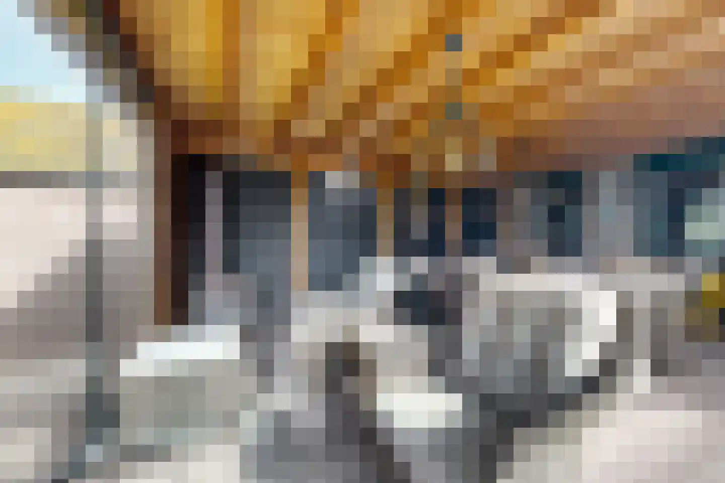 Oude Kerkstraat 79 Standdaarbuiten thumbnail 84