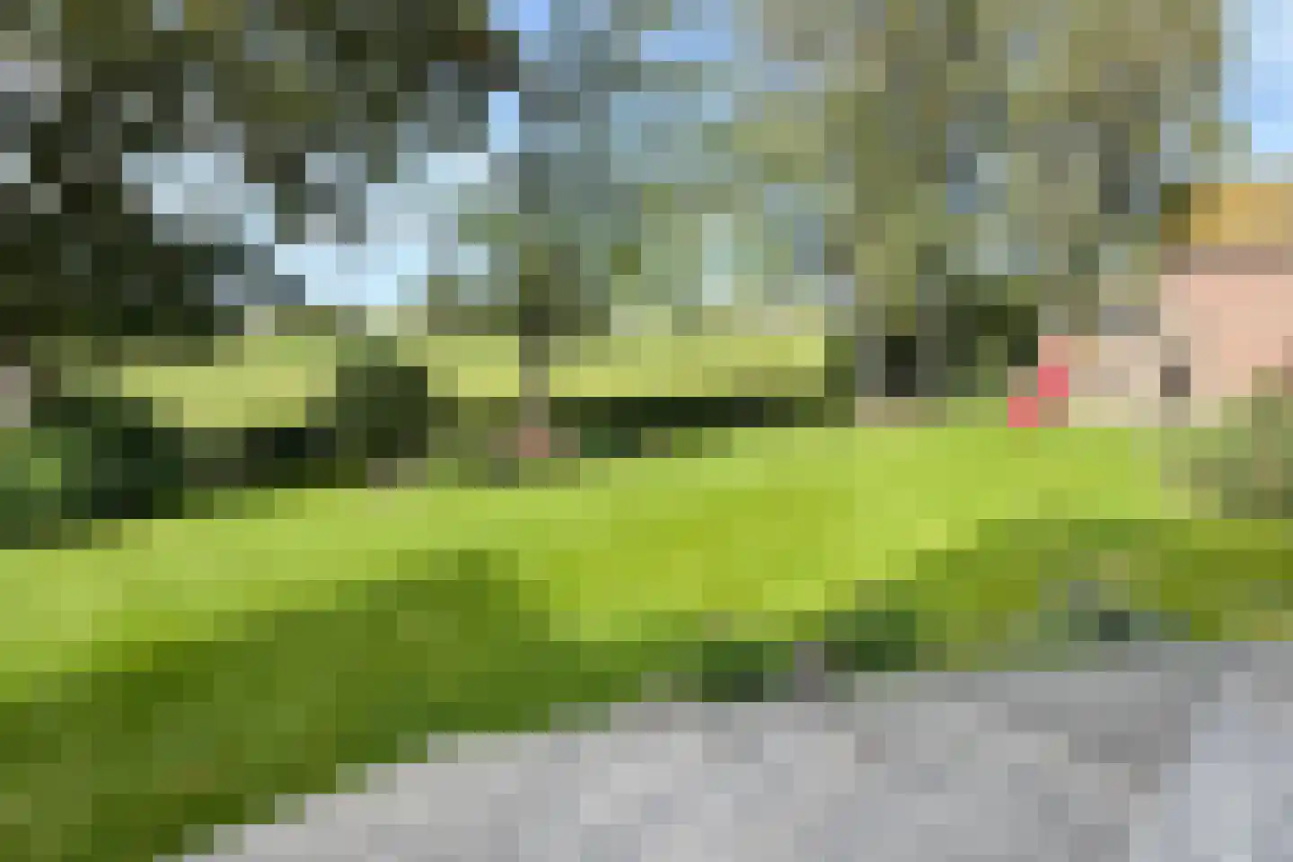 Oude Kerkstraat 79 Standdaarbuiten thumbnail 89