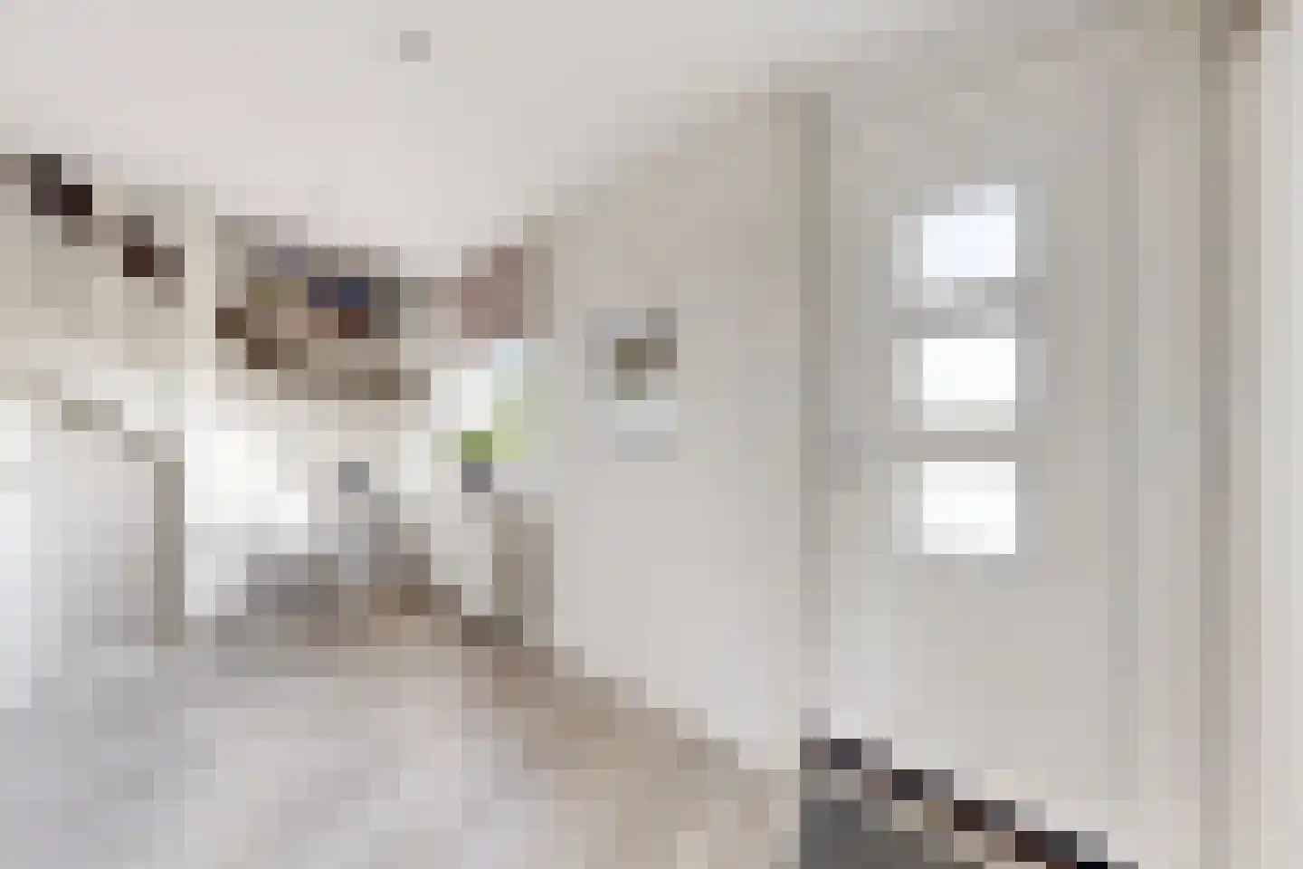 Oude Kerkstraat 79 Standdaarbuiten thumbnail 9