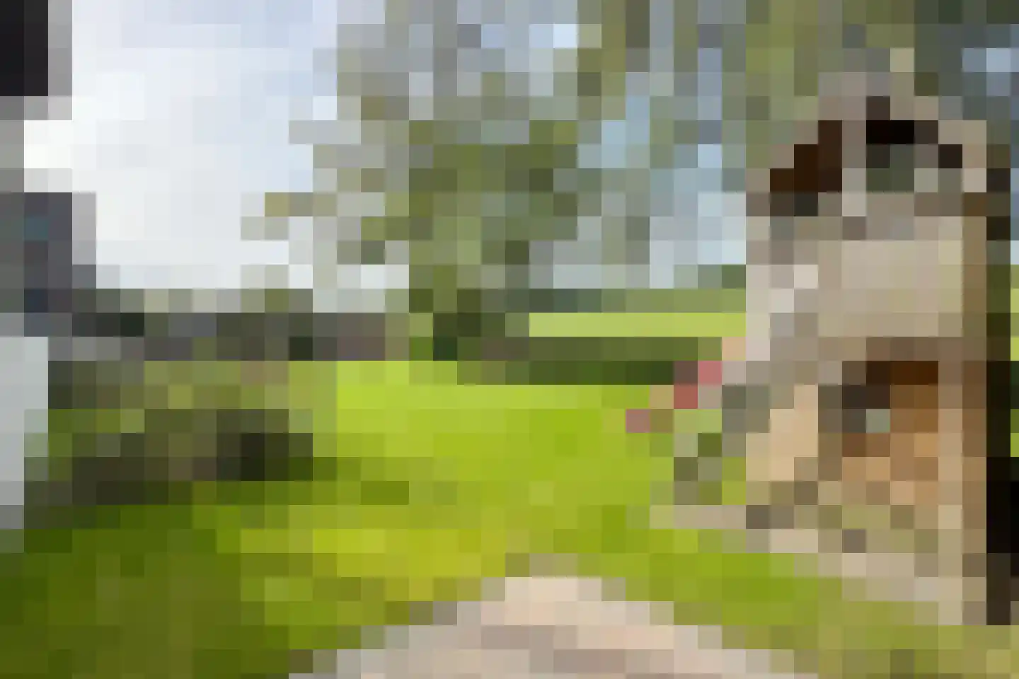 Oude Kerkstraat 79 Standdaarbuiten thumbnail 91