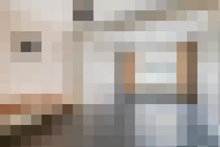 Oude Kerkstraat 8 Aardenburg thumbnail 7