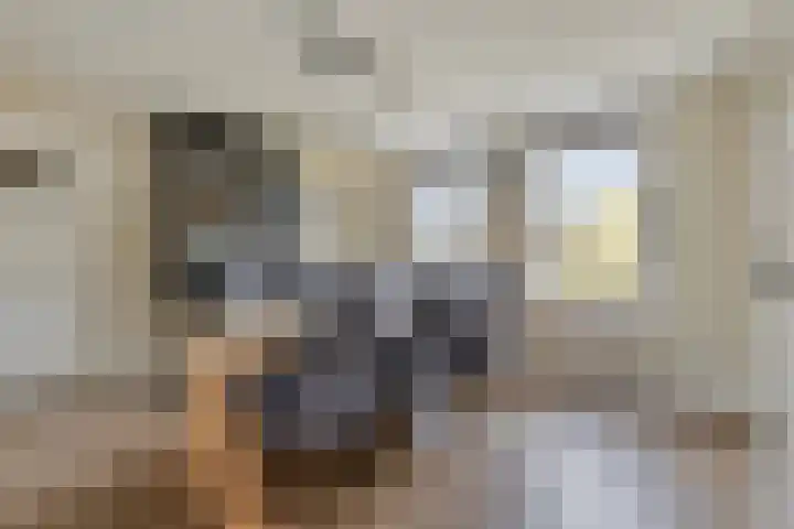 Oude Kerkstraat 8 Wijk en Aalburg thumbnail 22