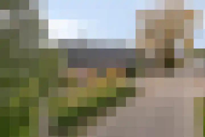Oude Kerkstraat 8 Wijk en Aalburg thumbnail 54