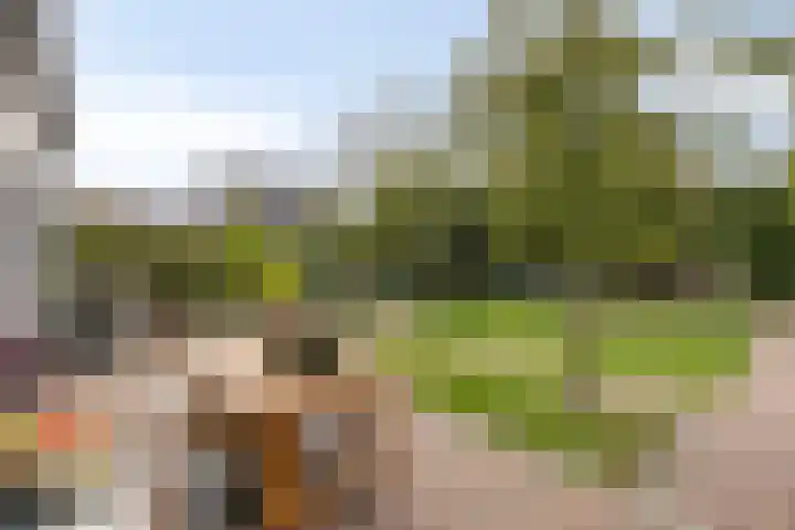 Oude Kerkstraat 8 Wijk en Aalburg thumbnail 6