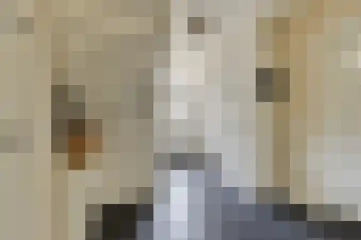 Oude Kerkstraat 8 Wijk en Aalburg thumbnail 7