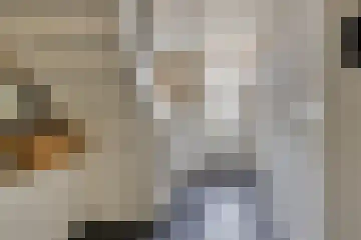 Oude Kerkstraat 8 Wijk en Aalburg thumbnail 8