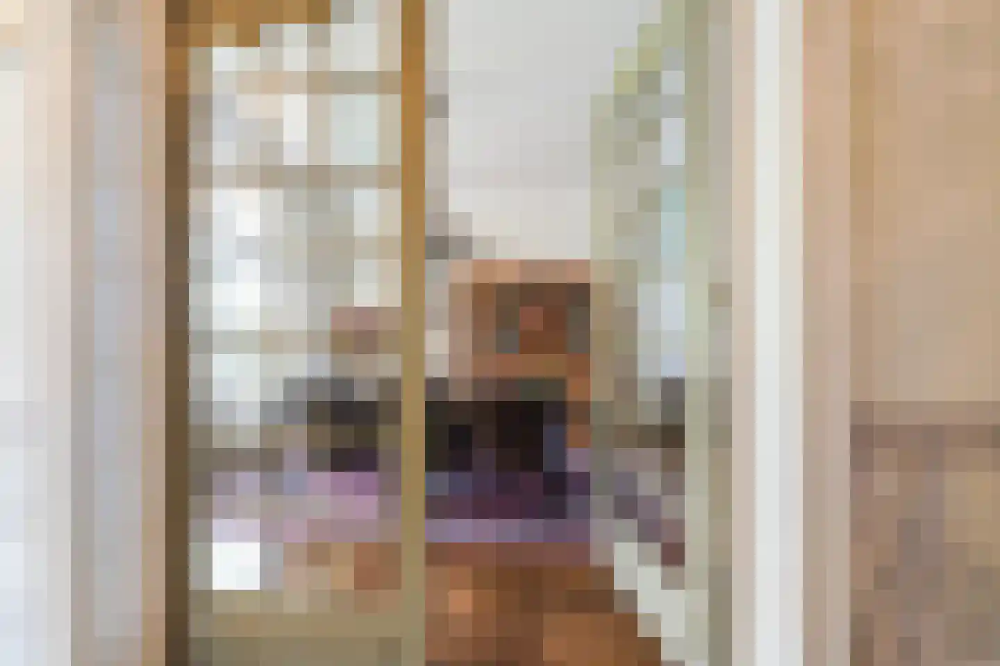 Oude Kerkstraat 9 Boxtel thumbnail 14