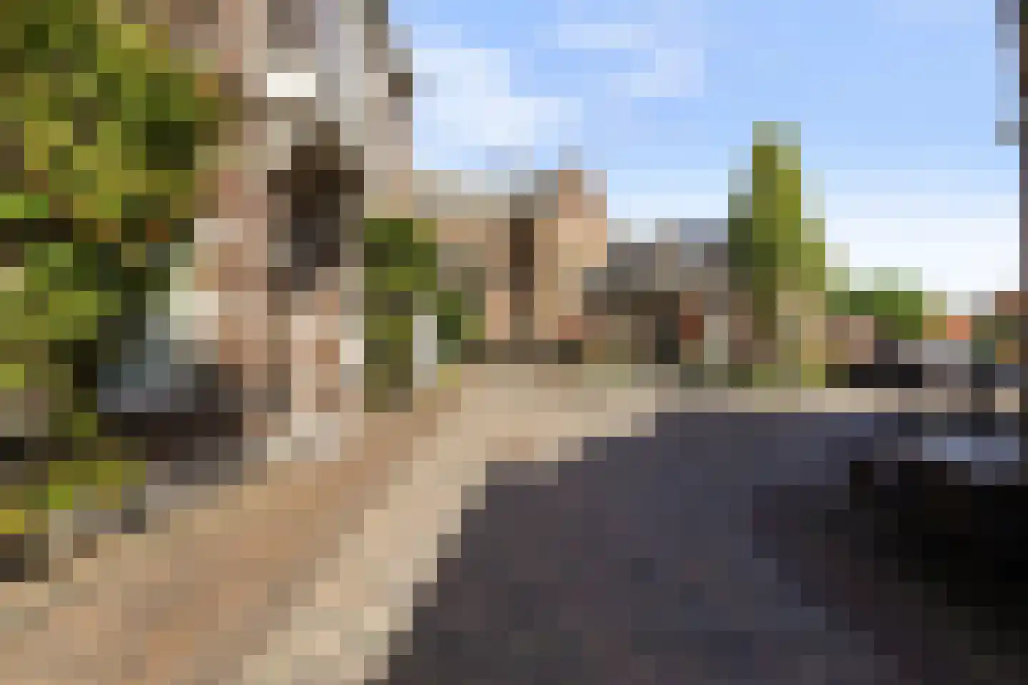 Oude Kerkstraat 9 Boxtel thumbnail 6