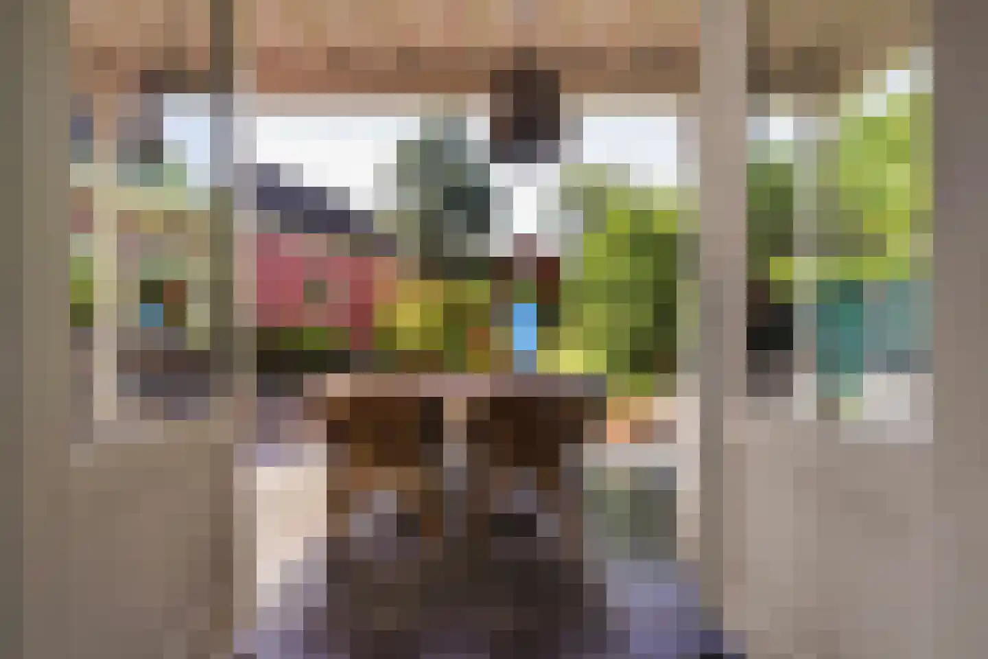 Oude Kerkstraat 9 Boxtel thumbnail 61