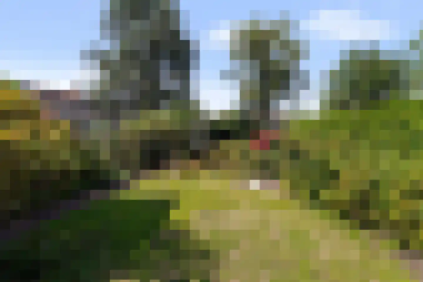 Oude Kerkstraat 9 Boxtel thumbnail 74