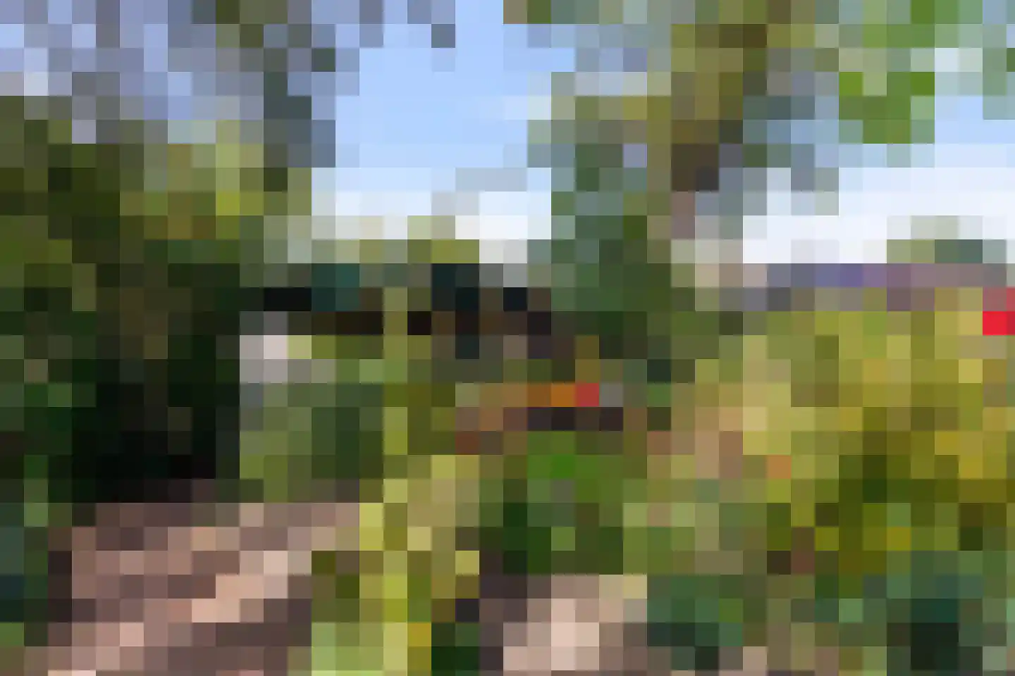 Oude Kerkstraat 9 Boxtel thumbnail 77