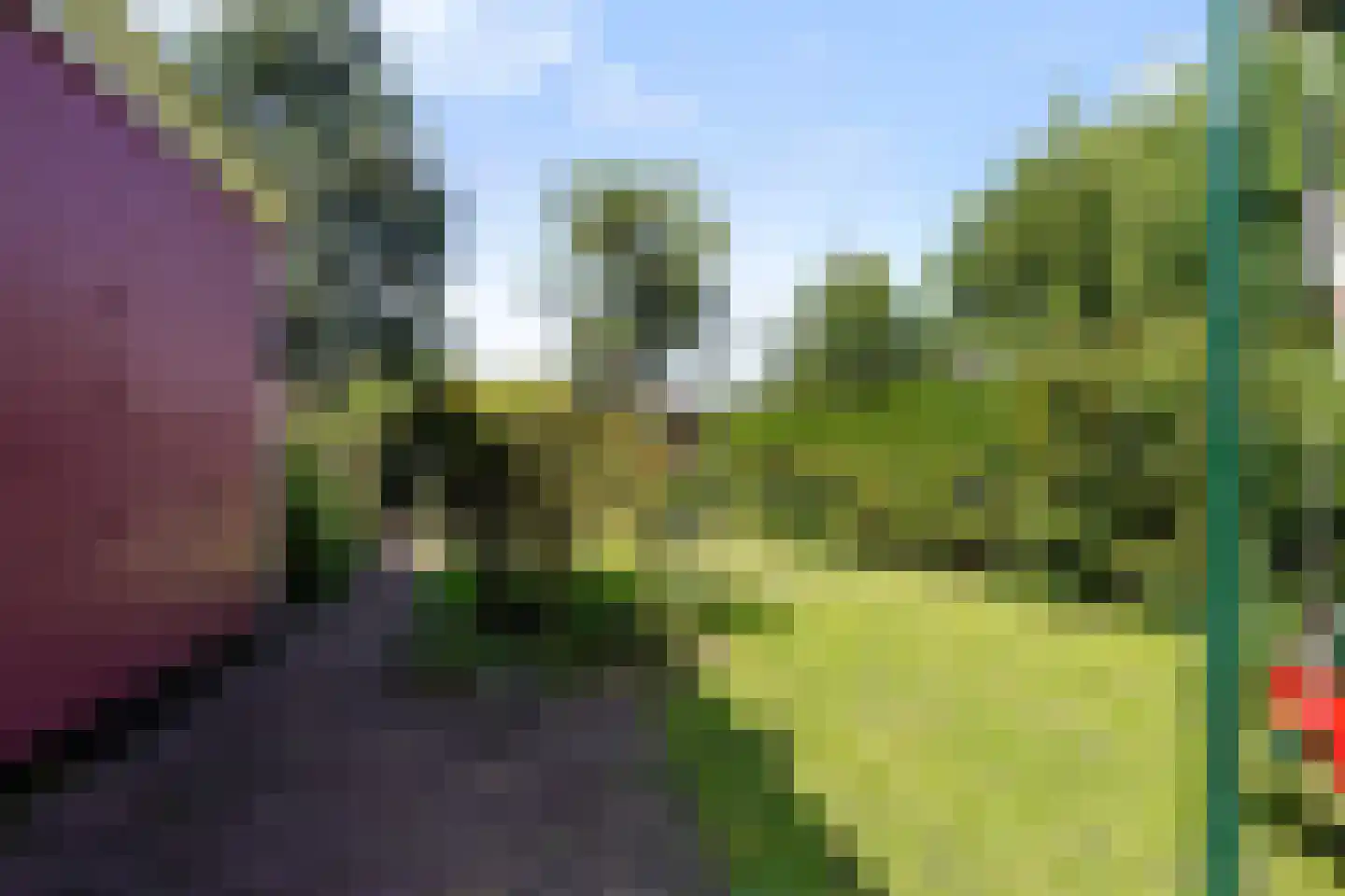 Oude Kerkstraat 9 Boxtel thumbnail 80