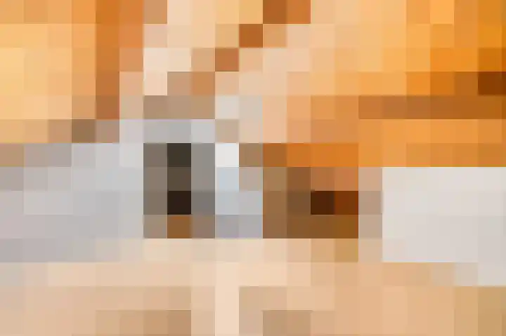 Oude Kerkweg 13 Ede thumbnail 30