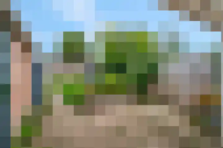 Oude Kerkweg 13 Ede thumbnail 32