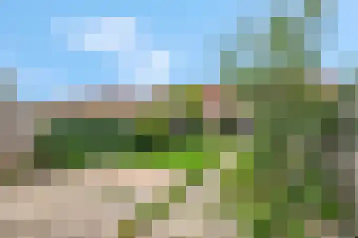 Oude Kerkweg 13 Ede thumbnail 36