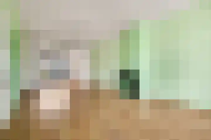 Oude Kerkweg 13 Ede thumbnail 7
