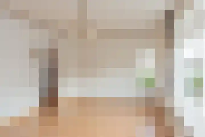 Oude Kerkweg 20 Doornspijk thumbnail 10