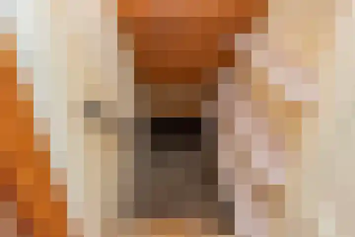 Oude Kerkweg 20 Doornspijk thumbnail 14