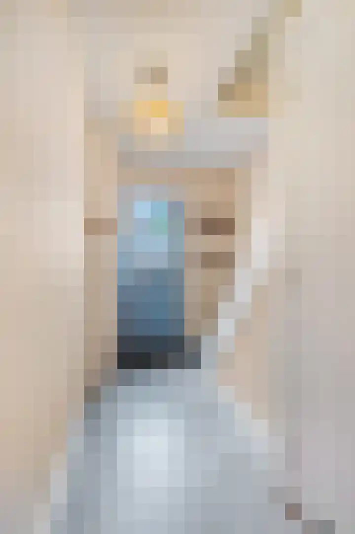 Oude Kerkweg 20 Ede thumbnail 12
