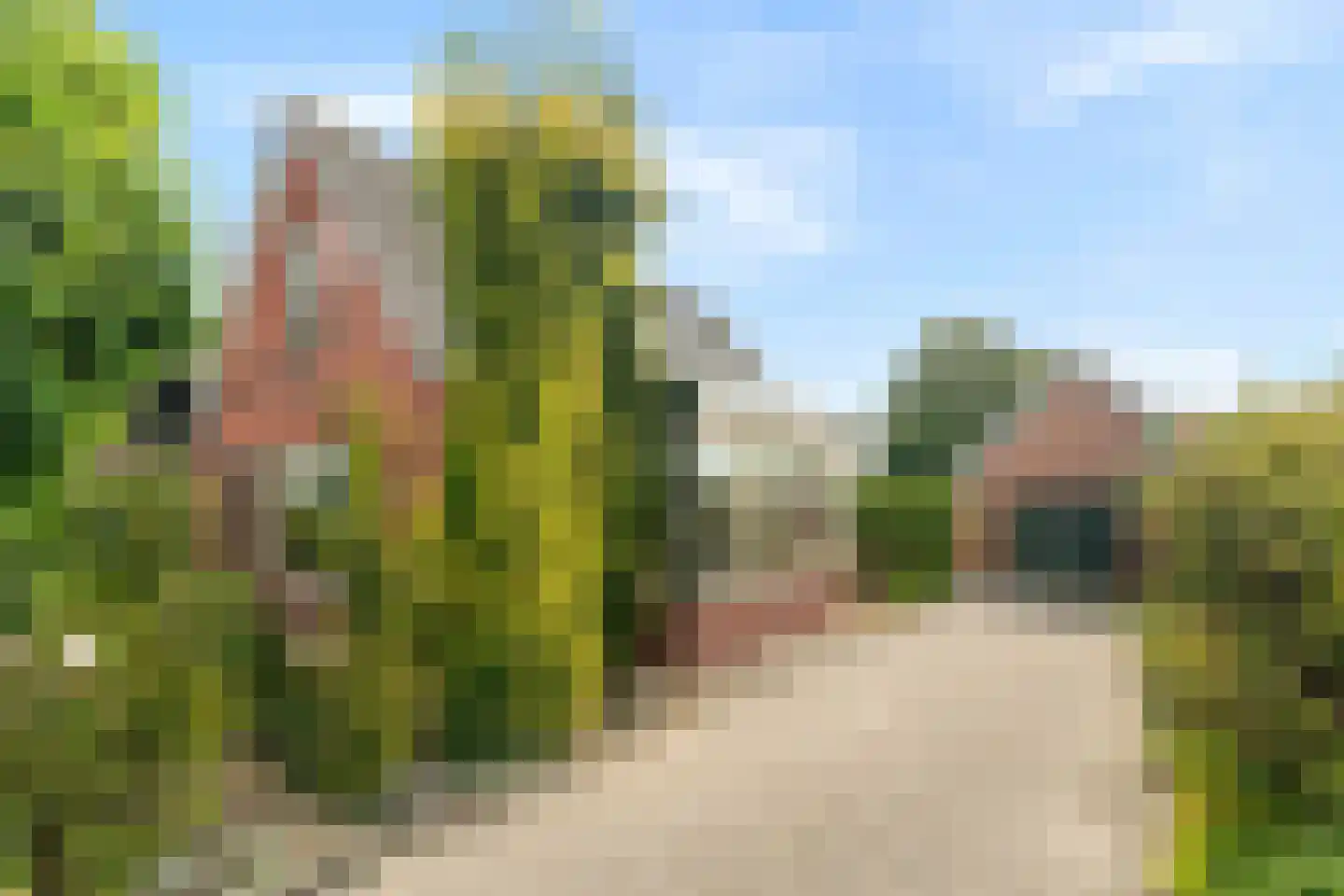 Oude Kerkweg 27 Doornspijk thumbnail 19