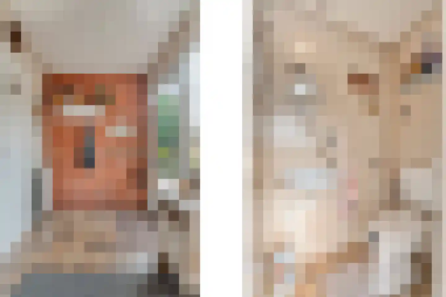 Oude Kerkweg 27 Doornspijk thumbnail 21