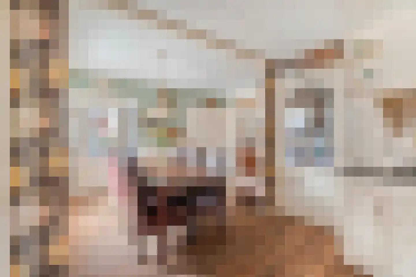 Oude Kerkweg 27 Doornspijk thumbnail 28