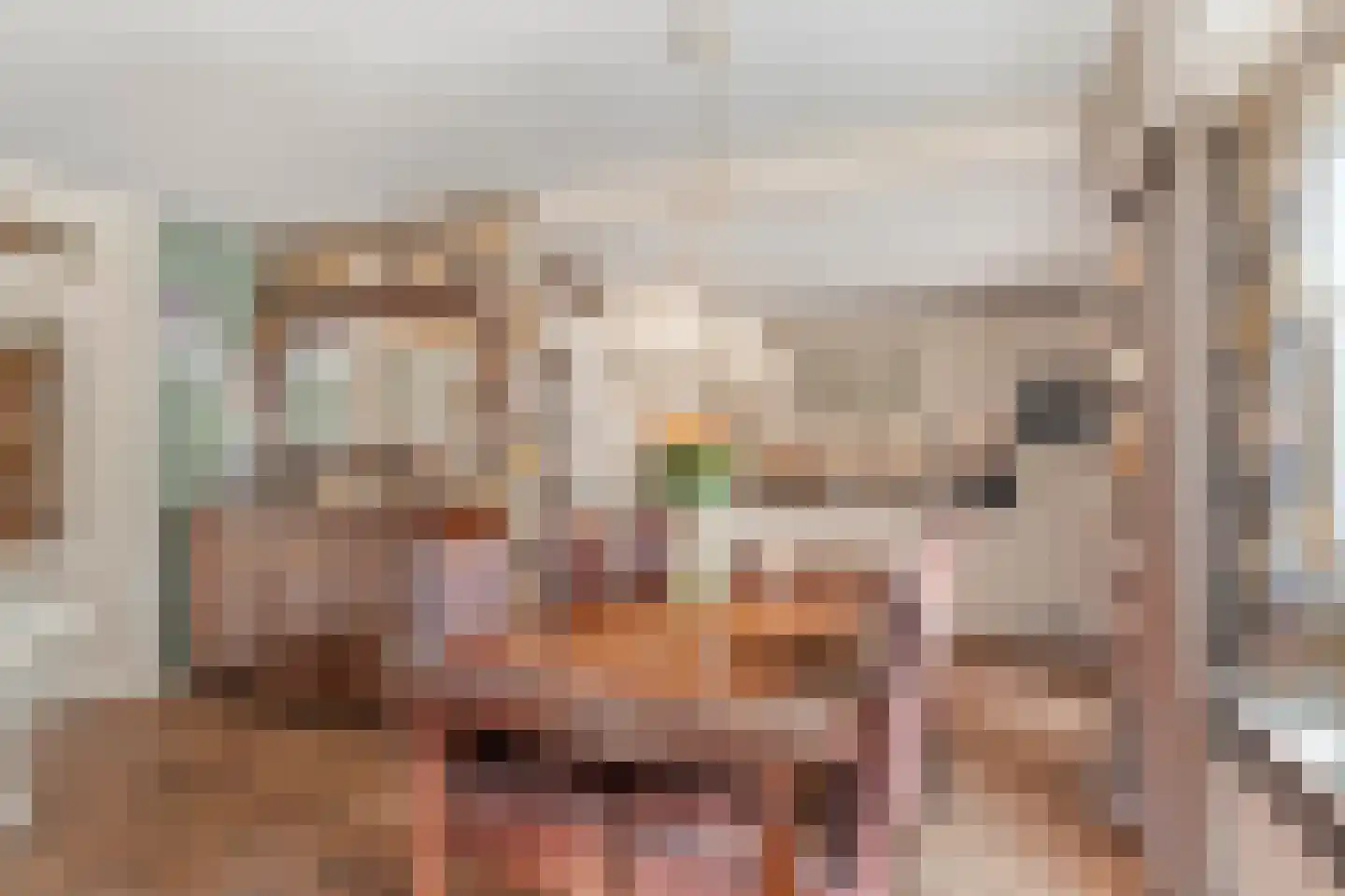 Oude Kerkweg 27 Doornspijk thumbnail 29