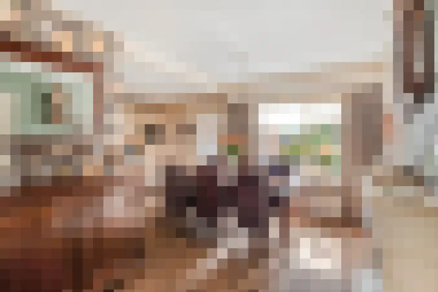Oude Kerkweg 27 Doornspijk thumbnail 31