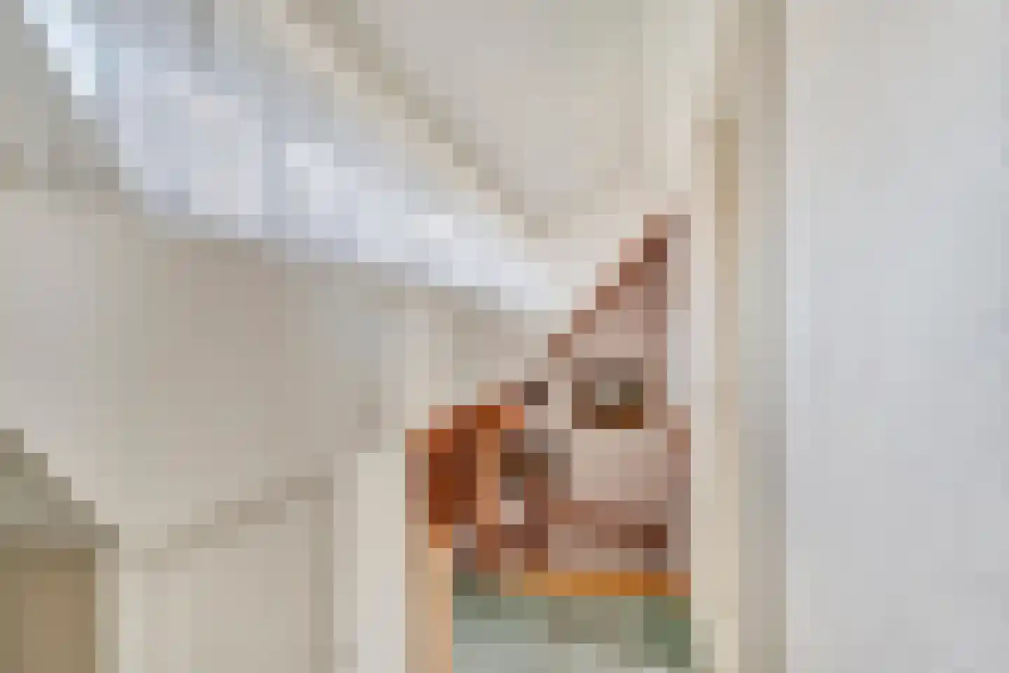 Oude Kerkweg 27 Doornspijk thumbnail 33