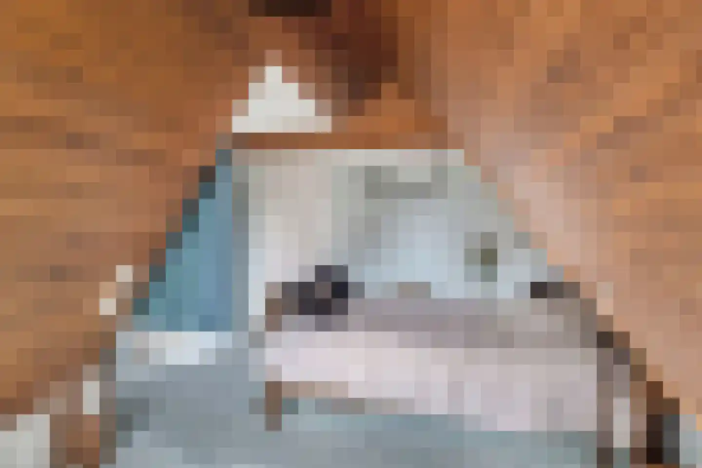 Oude Kerkweg 27 Doornspijk thumbnail 35