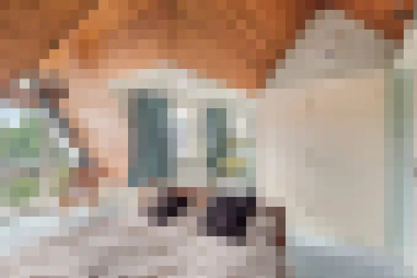 Oude Kerkweg 27 Doornspijk thumbnail 36