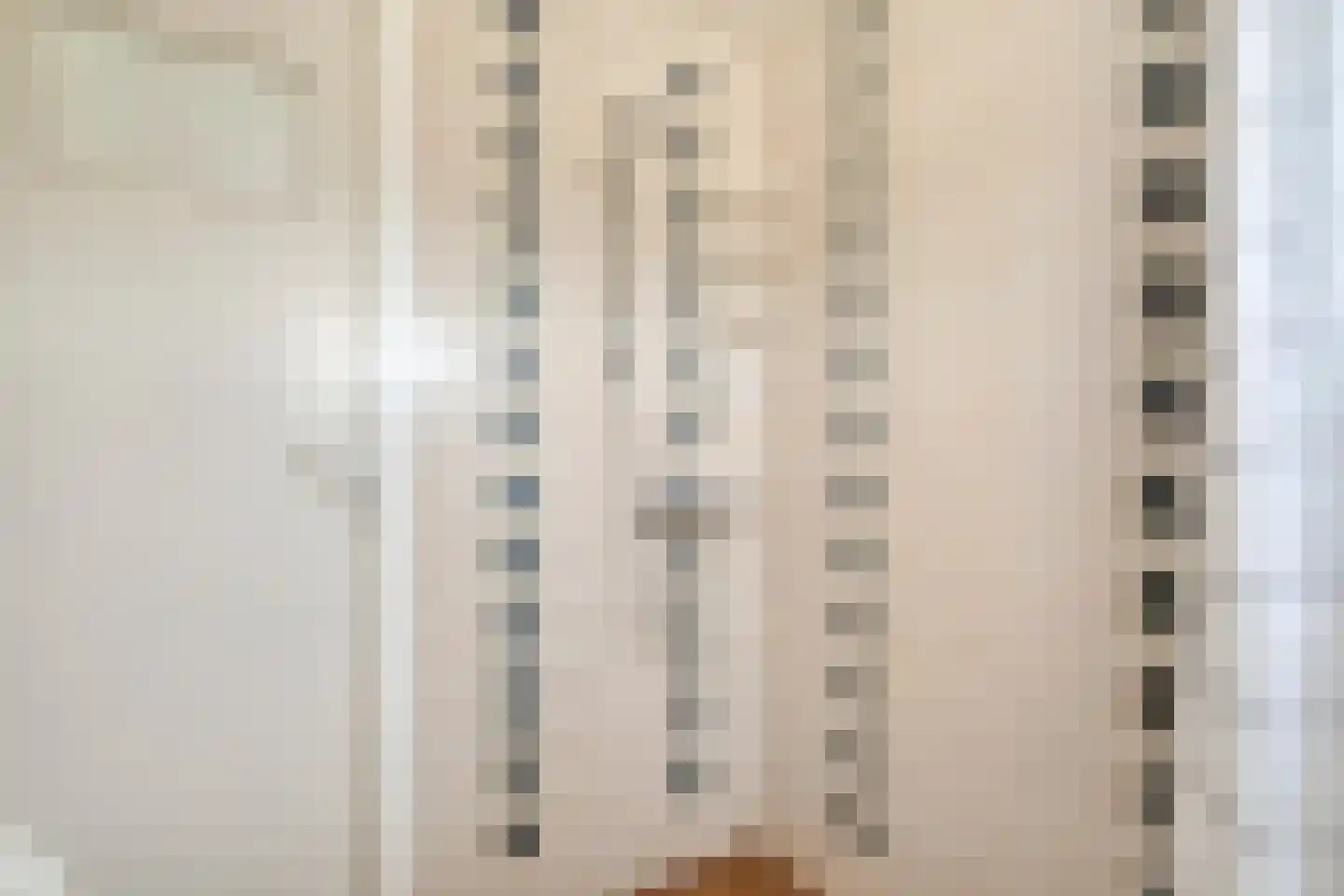 Oude Kerkweg 27 Doornspijk thumbnail 38