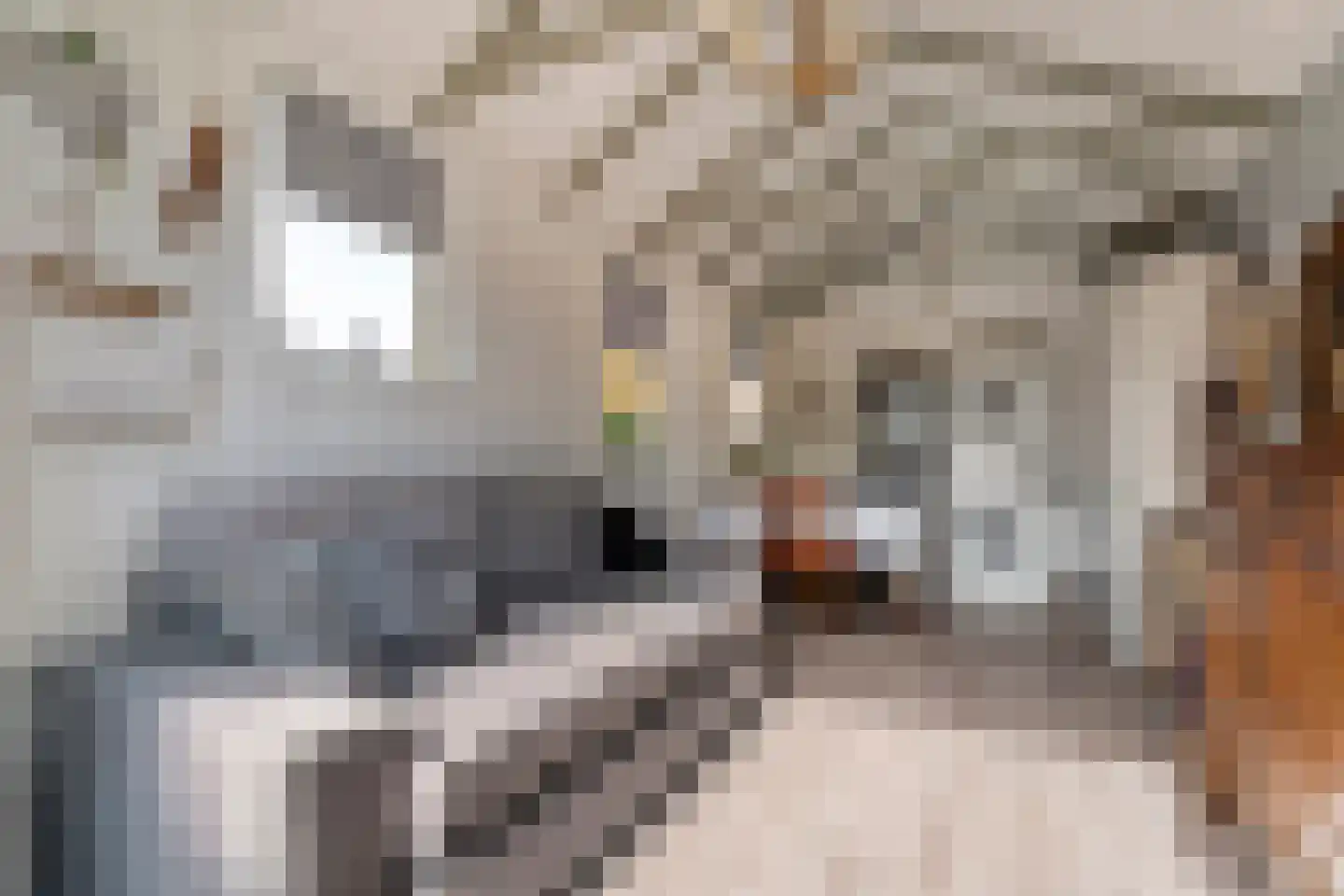 Oude Kerkweg 27 Doornspijk thumbnail 48
