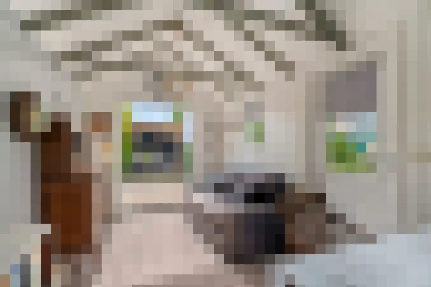 Oude Kerkweg 27 Doornspijk thumbnail 49