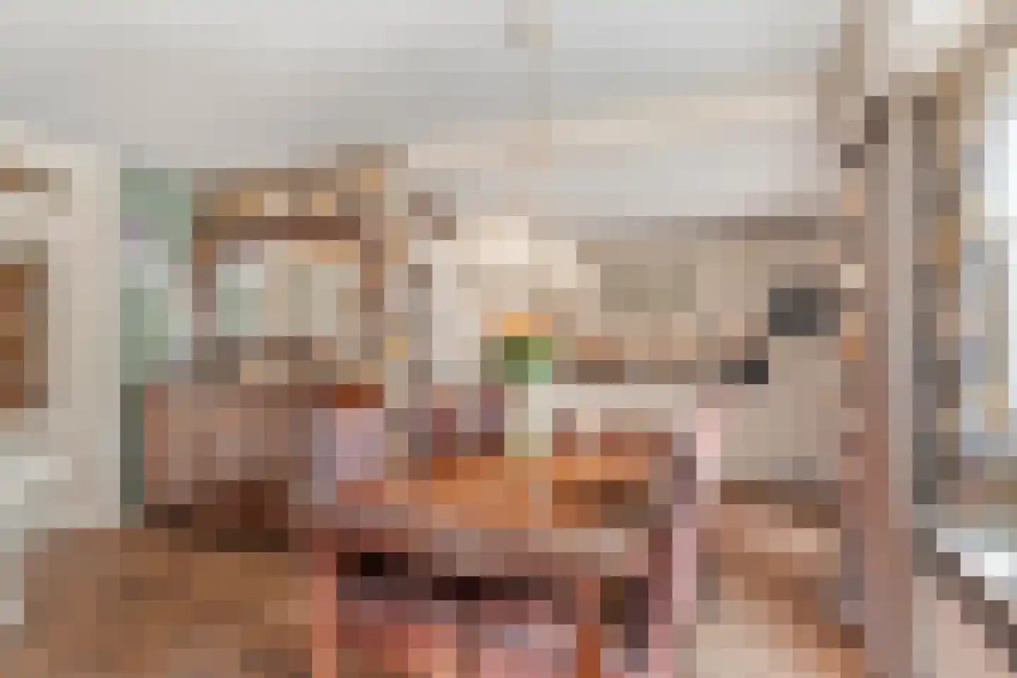 Oude Kerkweg 27 Doornspijk thumbnail 6