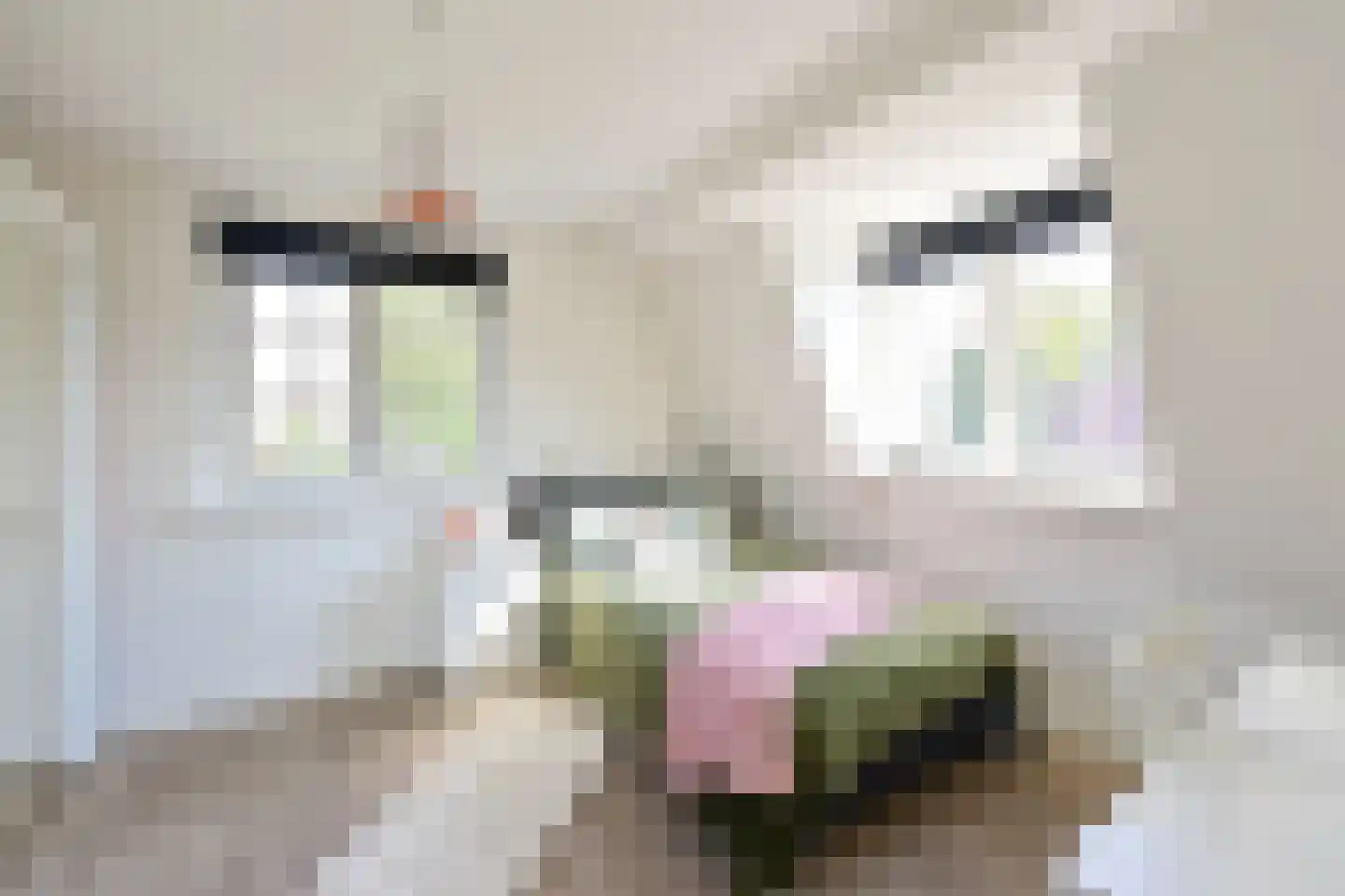 Oude Kerkweg 28 Laren thumbnail 21
