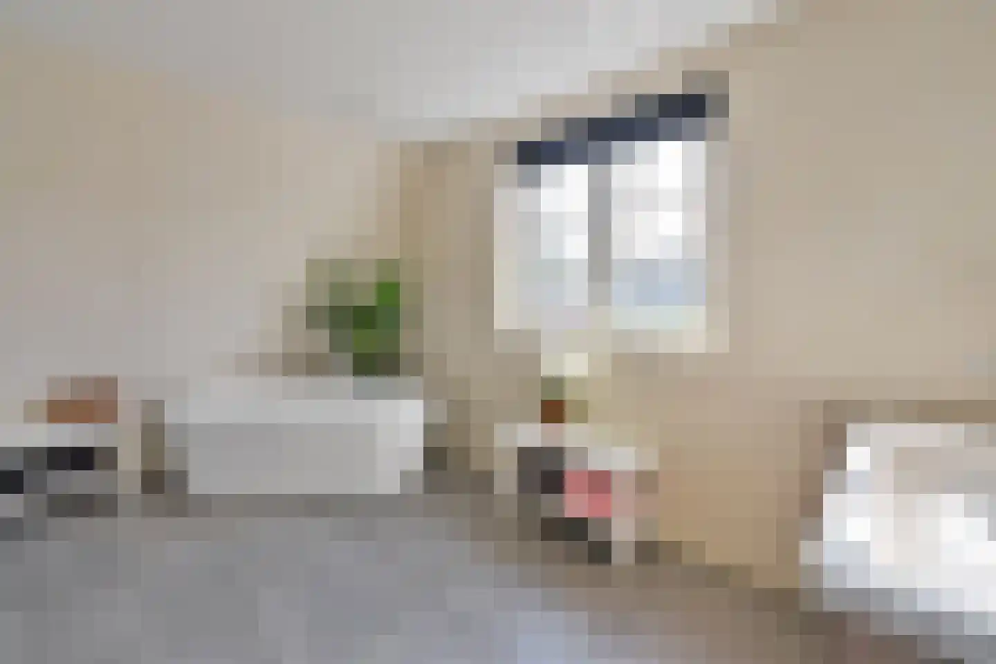 Oude Kerkweg 28 Laren thumbnail 24
