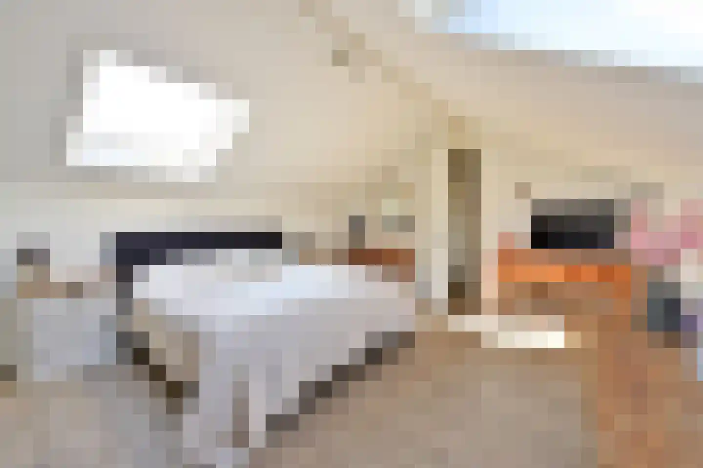 Oude Kerkweg 28 Laren thumbnail 26
